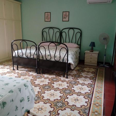 Il Cactus Bed & Breakfast San Giovanni Incarico Luaran gambar