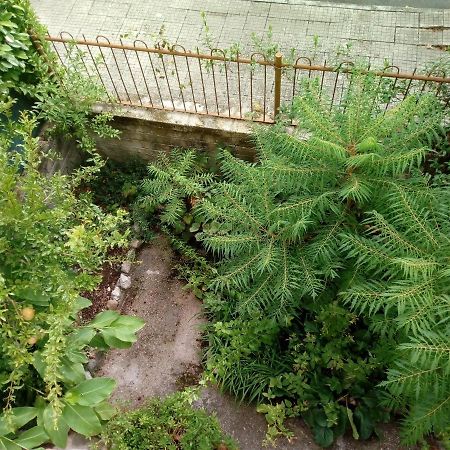 Il Cactus Bed & Breakfast San Giovanni Incarico Luaran gambar