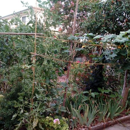 Il Cactus Bed & Breakfast San Giovanni Incarico Luaran gambar