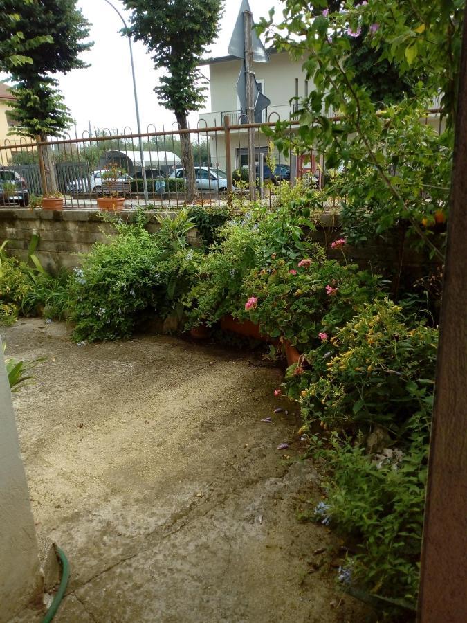 Il Cactus Bed & Breakfast San Giovanni Incarico Luaran gambar